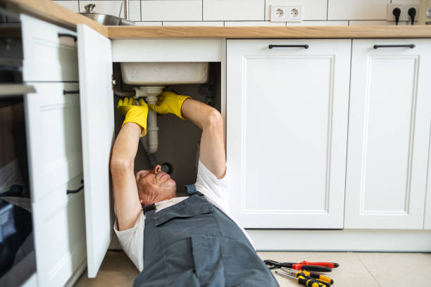 Best Toilet Repair Services  in Ridley Rk, PA